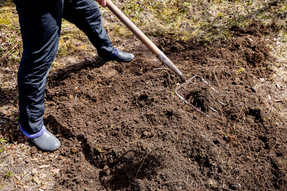 Gleby wapnowane to mniejsze zakwaszenie i prawidłowy odczyn gleby